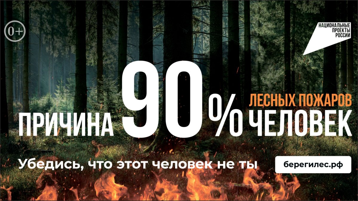 Останови огонь! Причина 90% лесных пожаров человек. Убедись, что этот человек не ты!