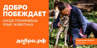 Добро побеждает, когда за дело берутся наши супергерои — волонтёры.